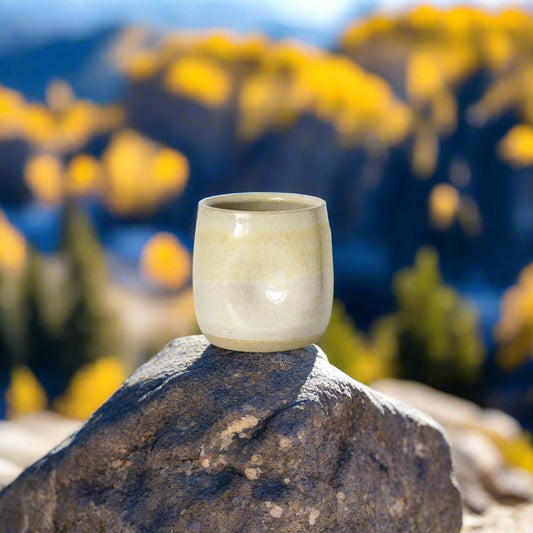 Partly Sunny Tumbler #1