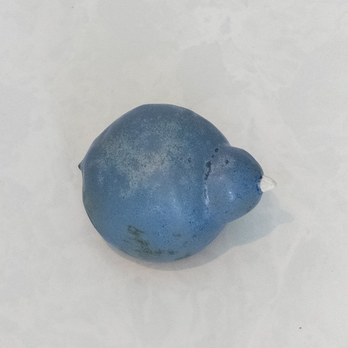 Blue Rock Bird