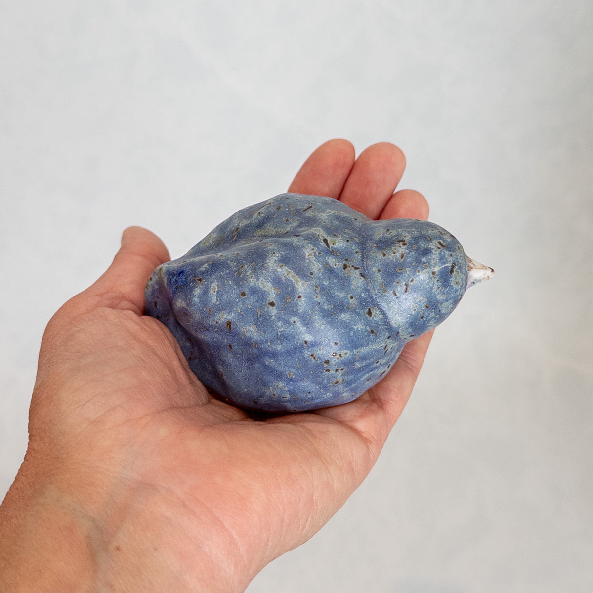 Indigo Waves Bird