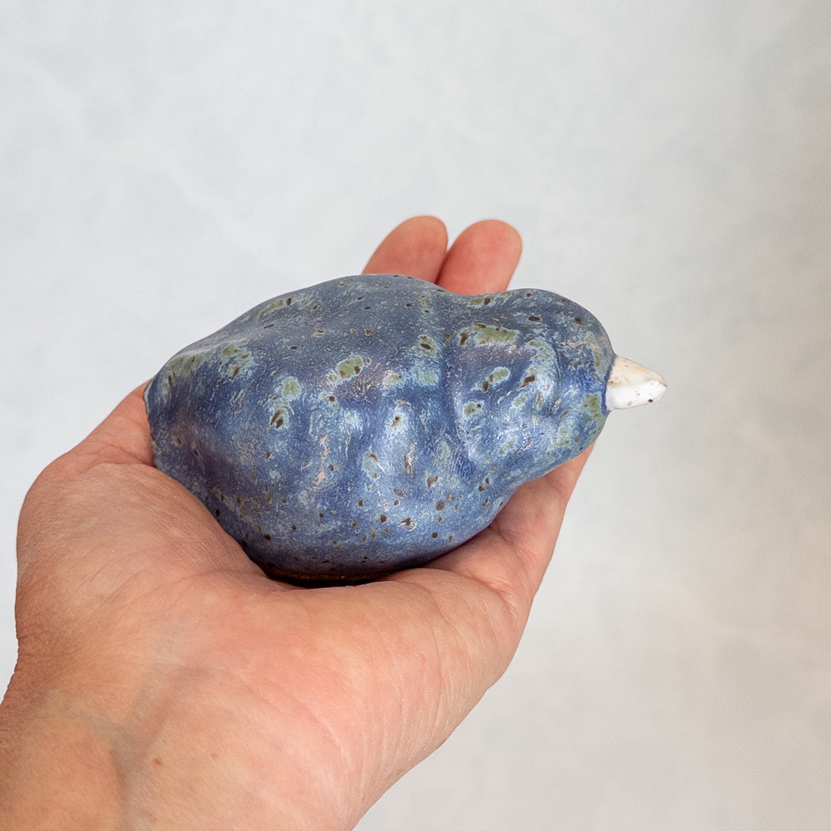Indigo Waves Bird