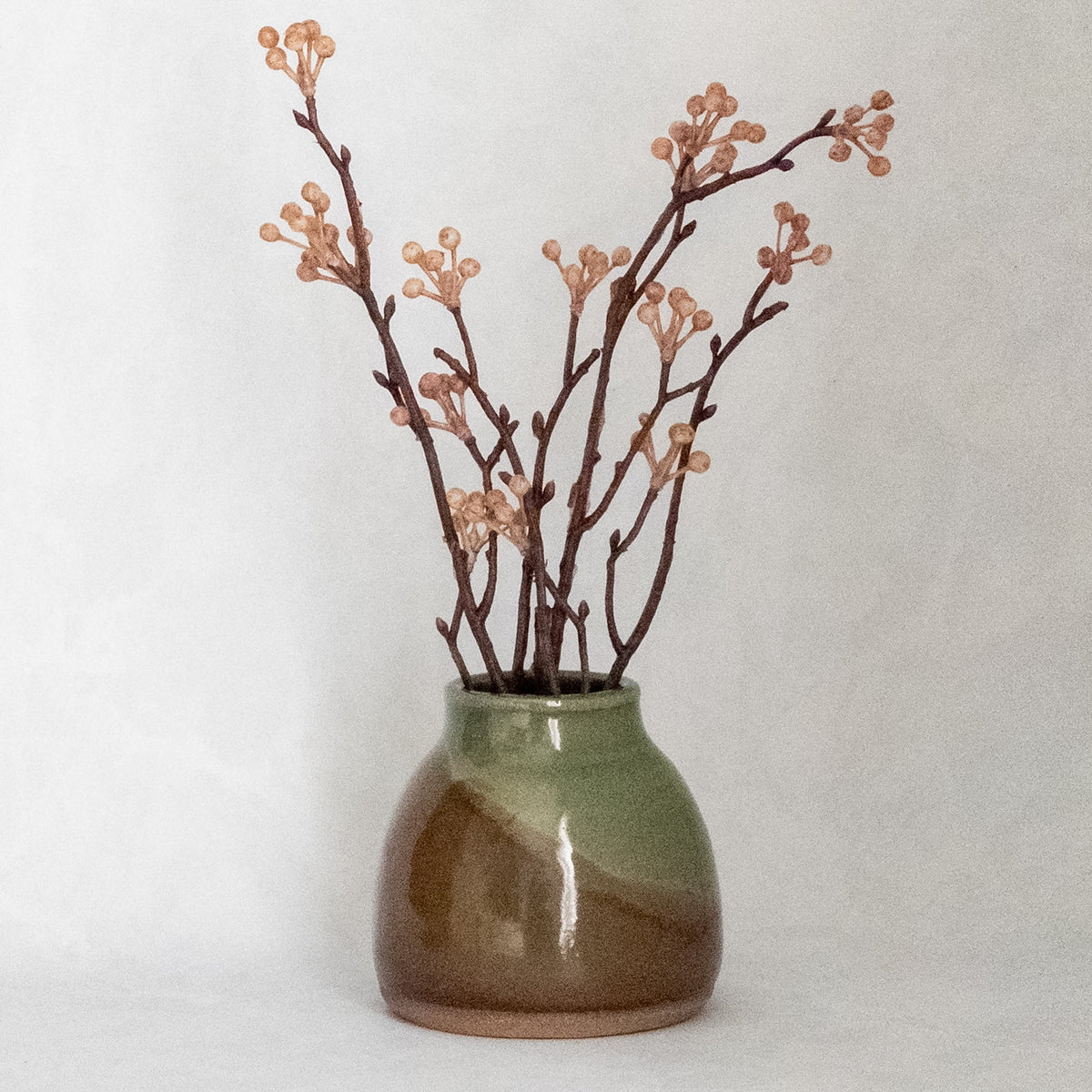 Sprig Vase - Acorn & Moss