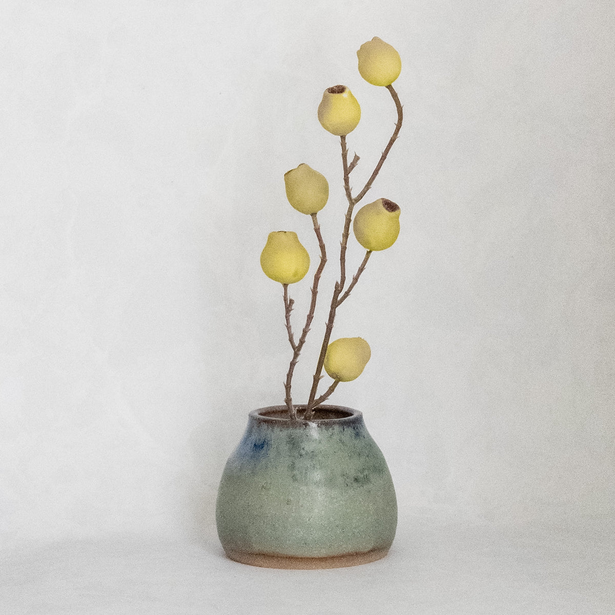 Sprig Vase - Mountain Slate