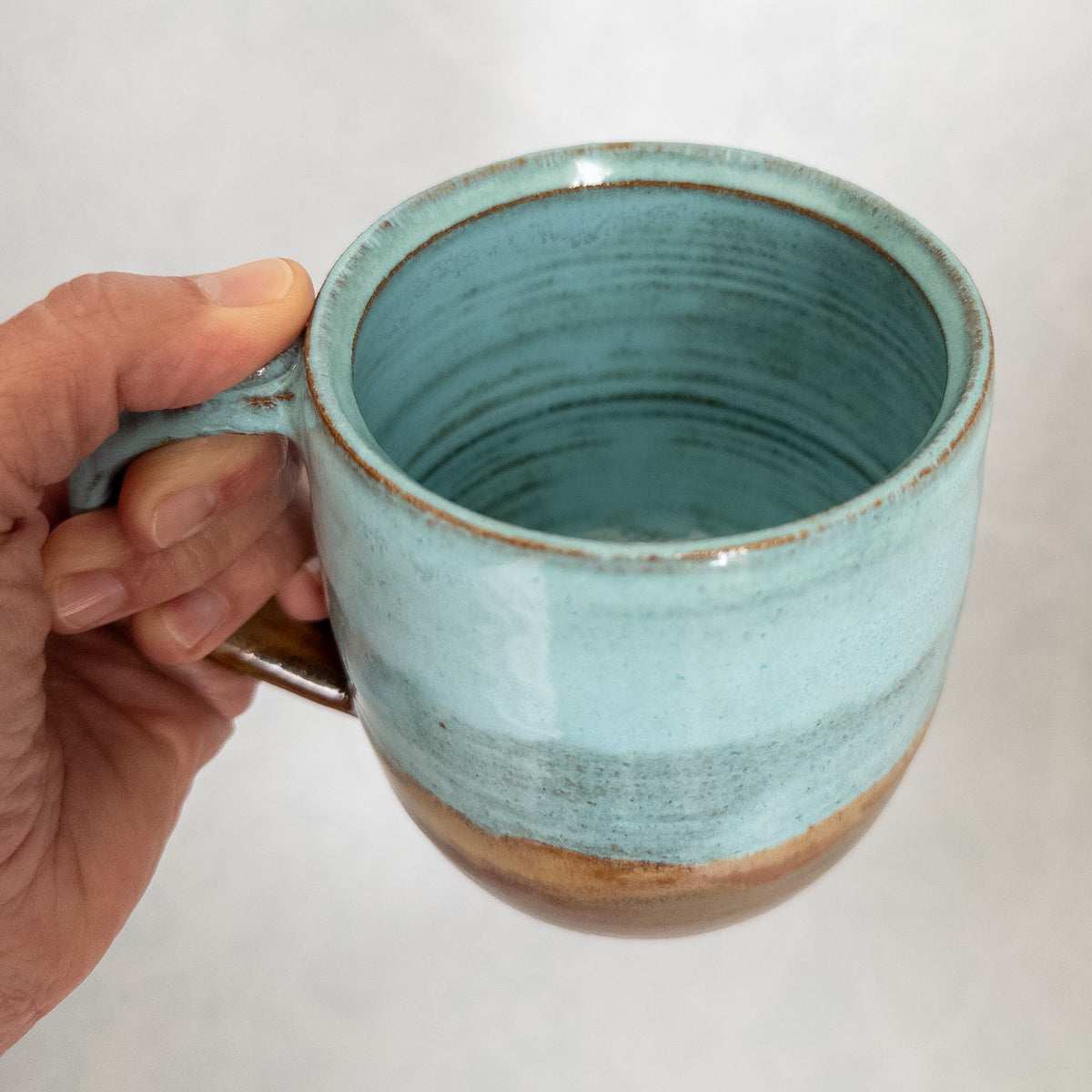 Canyonlands Mug