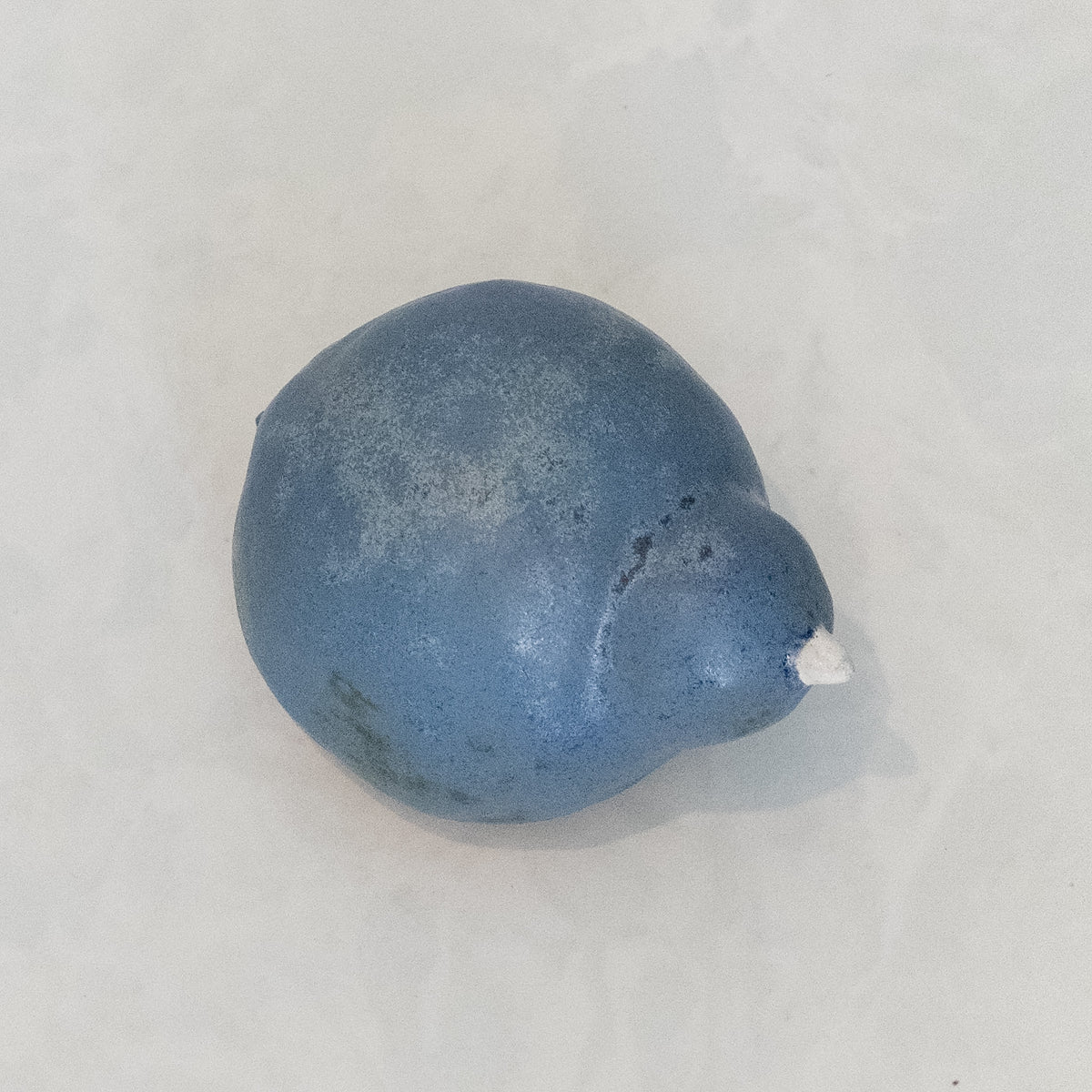 Blue Rock Bird