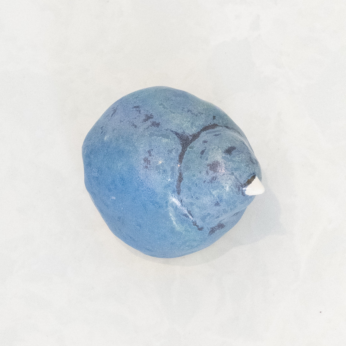 Blue Rock Bird