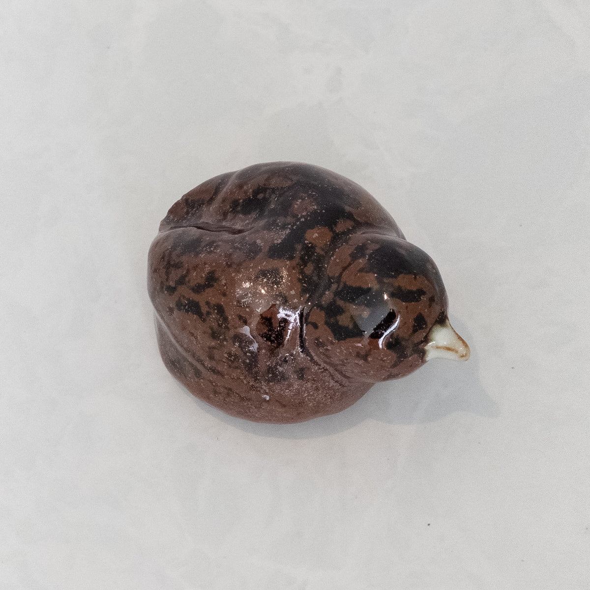 Copper Black Bird