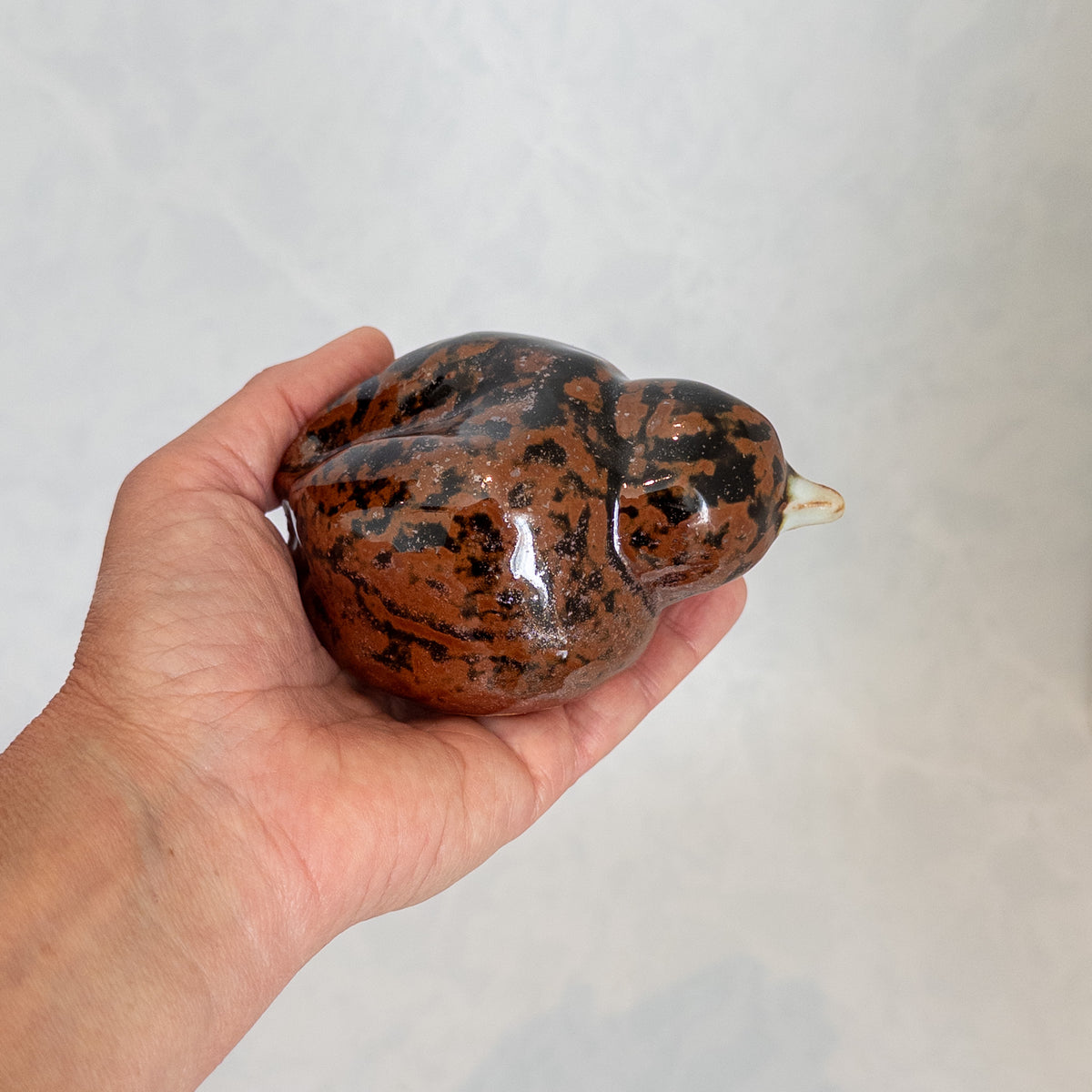 Copper Black Bird