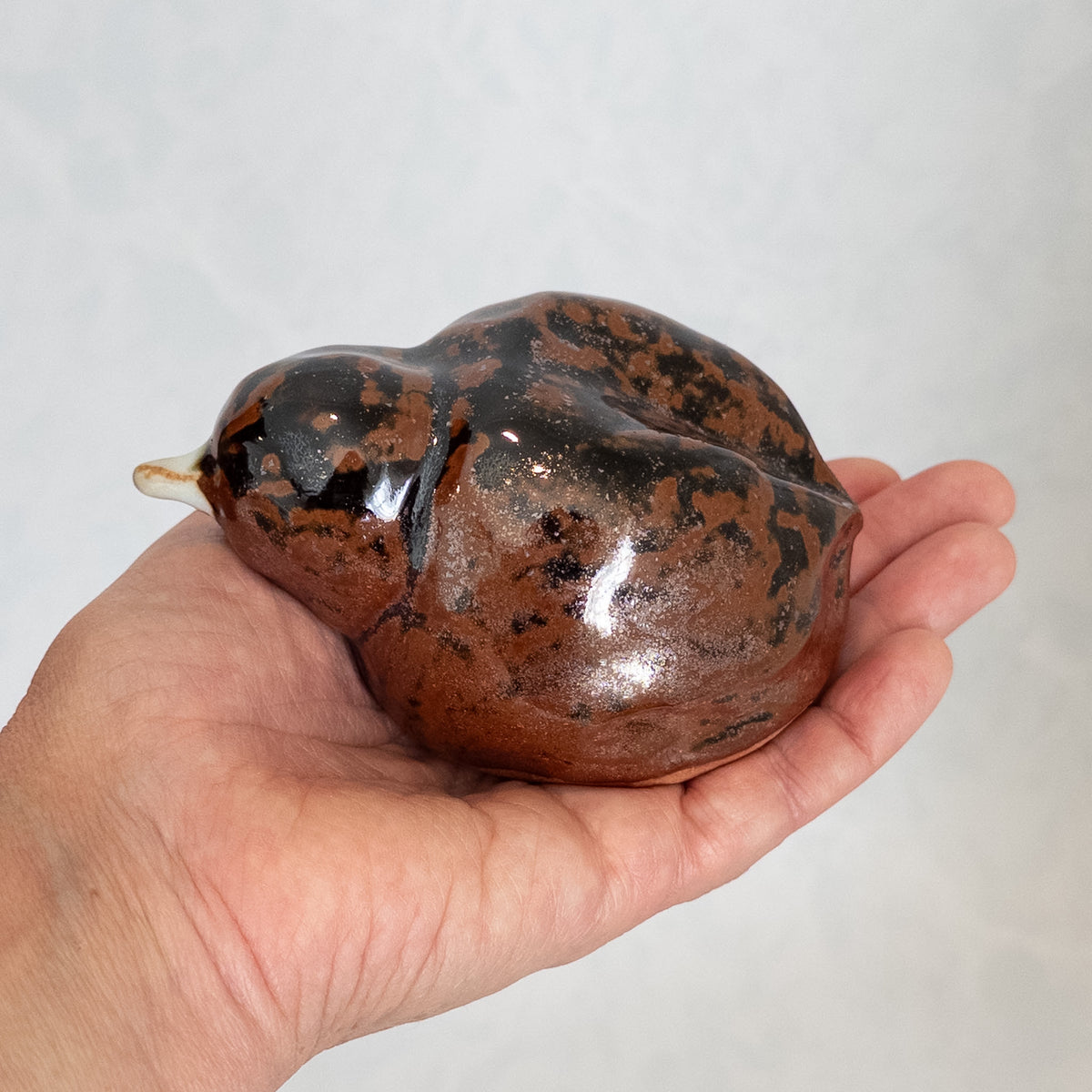 Copper Black Bird