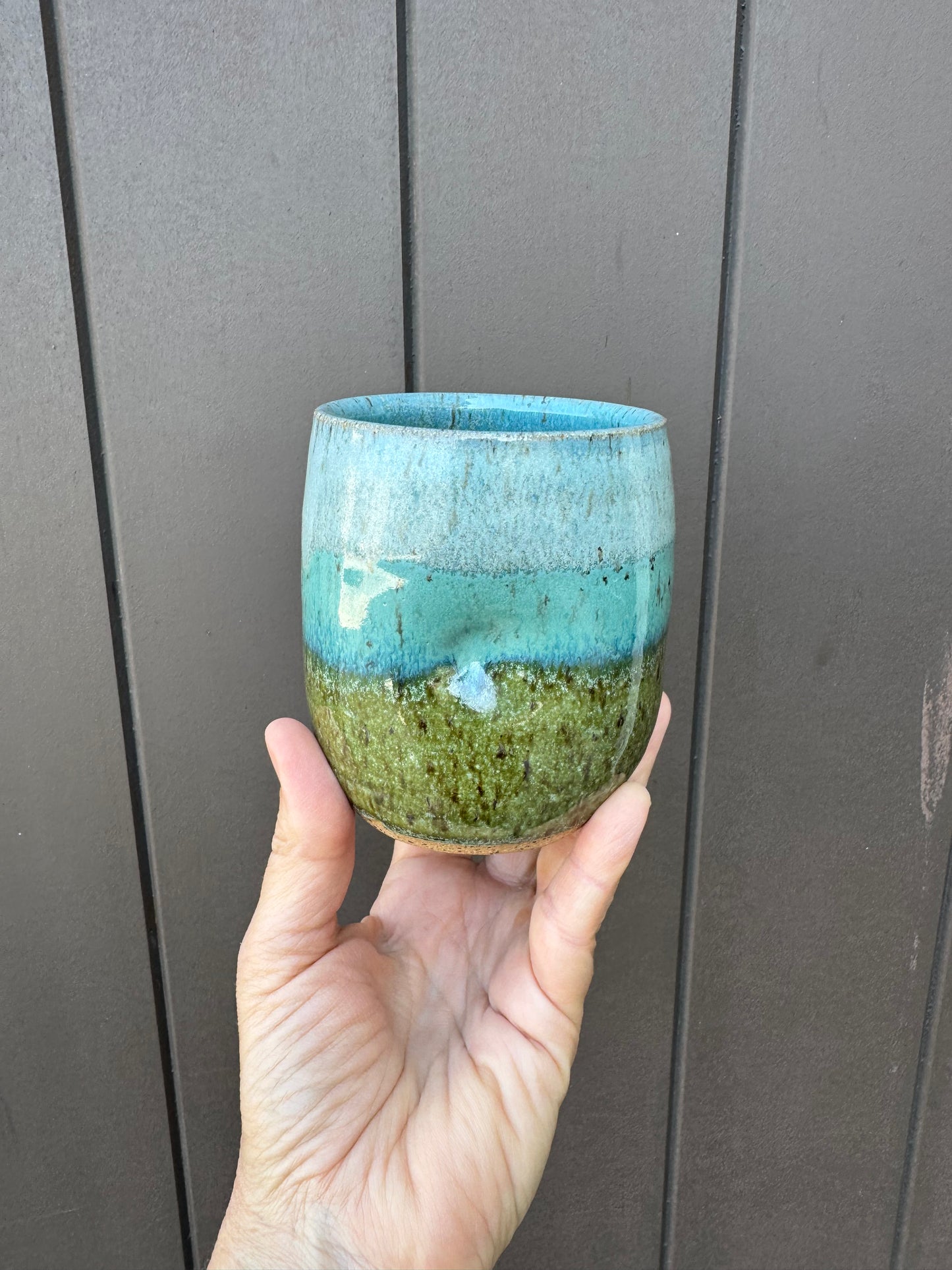 Mountain Sky Tumbler